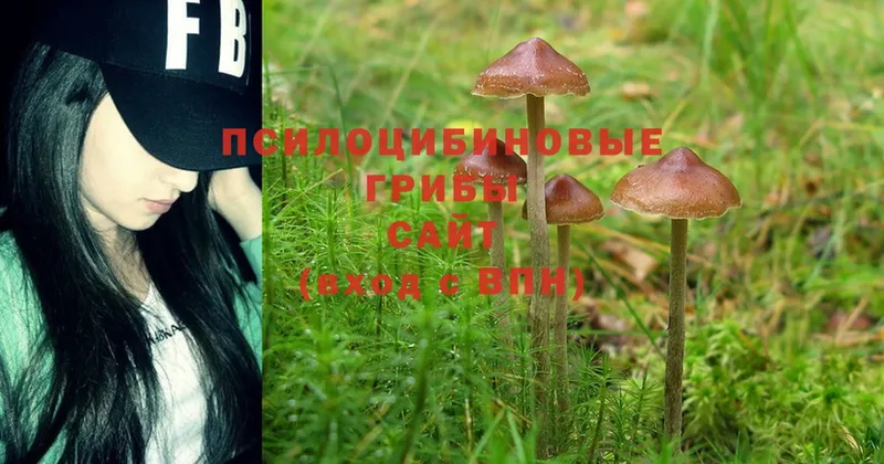 Псилоцибиновые грибы Magic Shrooms  Кумертау 